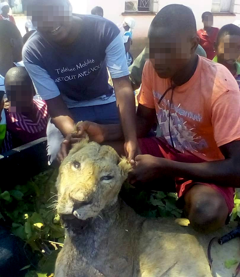 Human - Wildlife conflict